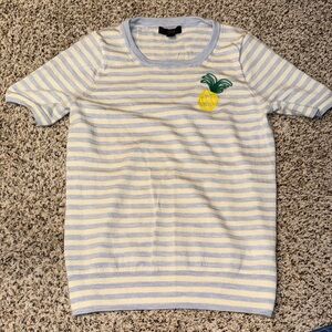 J. Crew Merino Wool Sweater Blue and White Stripe Like New